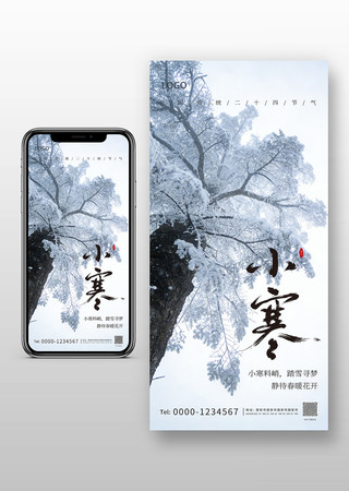 С����Լ����