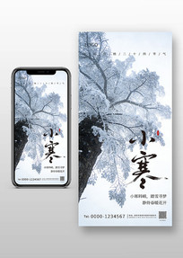 С����Լ����