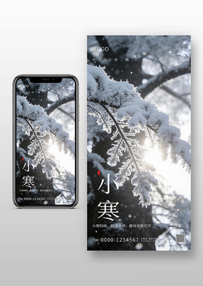 С����������