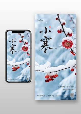 С�����º���