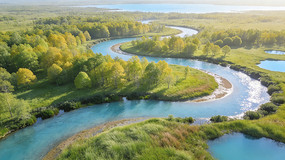 ���ּ�ĺ���