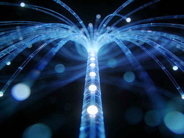 ��ɫ���Ĺ���˿�� JPG