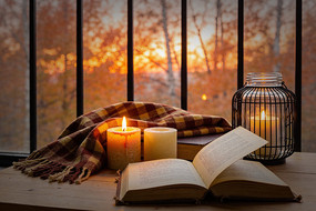 �鼮�����