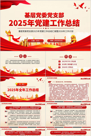 ��֧��2025�굳�������ܽ�PPTģ��