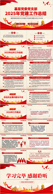 ��֧��2025�굳�������ܽ�PPTģ��