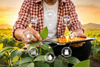 �������ũ�����ũ��ʦ