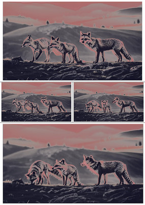 һ��֮����ֻ���궯������