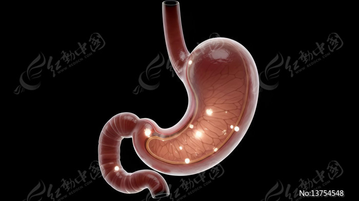 3D����θ�����ʶ���