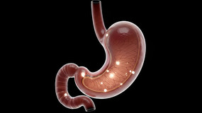 3D����θ�����ʶ���