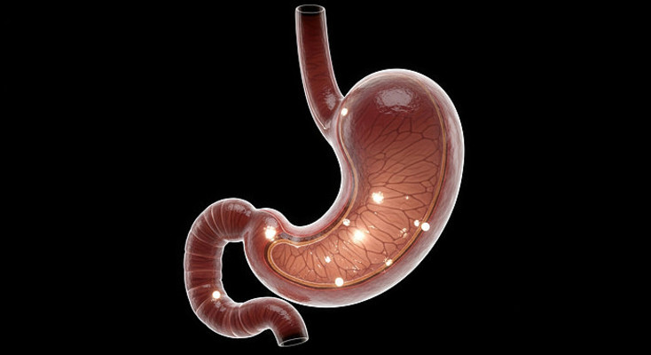 3Dθ������ģ��