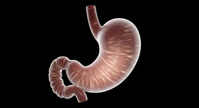 3Dҽѧθ��ģ��