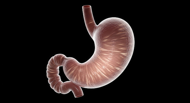 3Dҽѧθ��ģ��