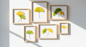 ��ŷ������Ҷװ�λ�