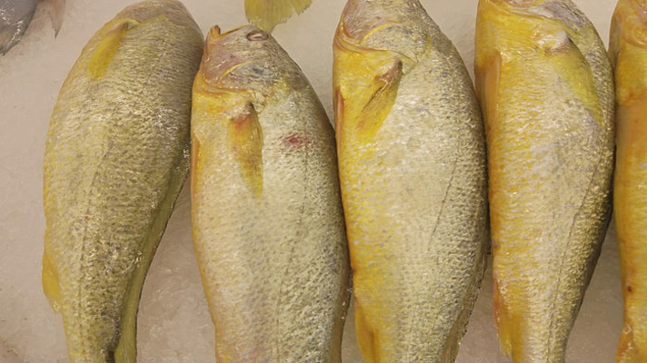 ���ʴ����չʾ