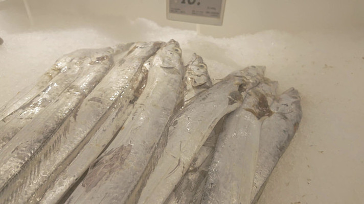 ���ʴ������չʾ