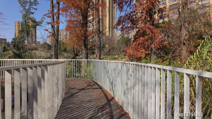 ���й�԰�ڵ�ľ�ʲ�������