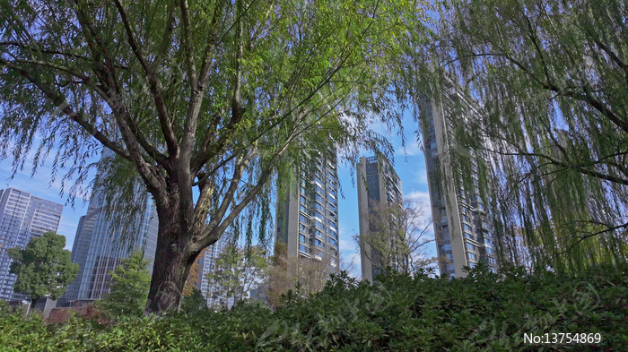 ��������ľ��ֲ���¥����