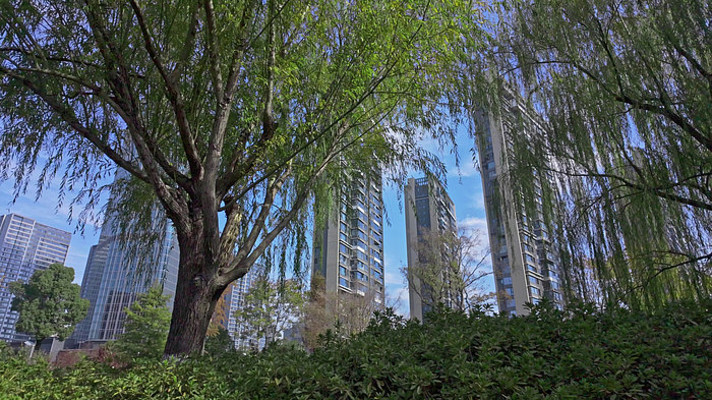 ��������ľ��ֲ���¥����