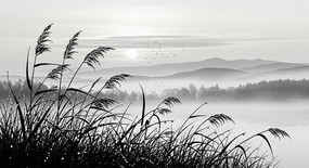 ��������«έ��Ӱ