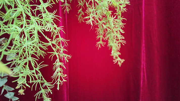 ����������ɫ��̨����