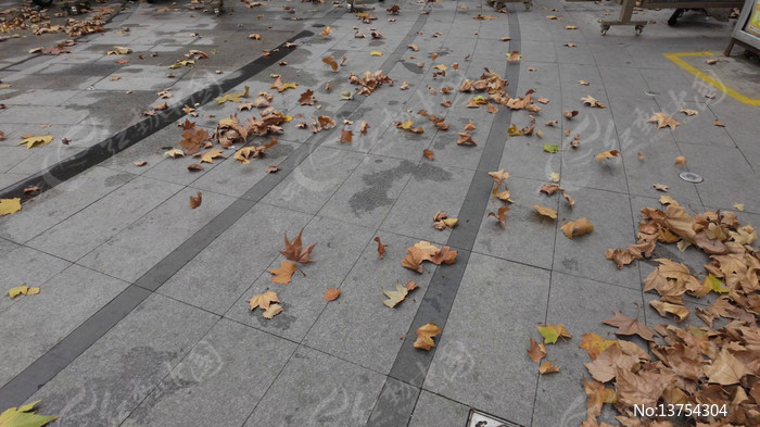 ����ɢ����＾��Ҷ�������