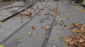 ����ɢ����＾��Ҷ�������