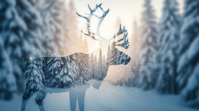 ����ɭ����¹��Ӱ�ز�