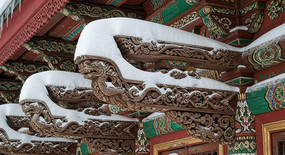 ���յ����ܻ�ѩ