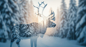 ����ɭ�ֵ���¹��Ӱ