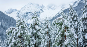 ����ɽ��ѩ�����