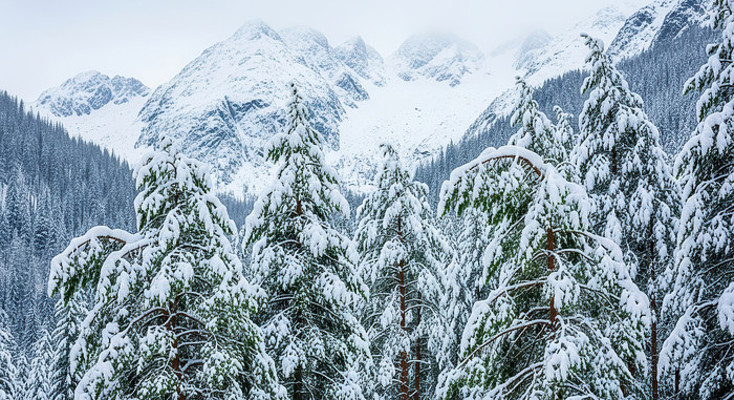 ����ɽ��ѩ�����