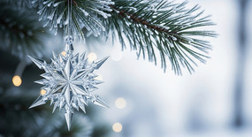 ����ʥ��ѩ������