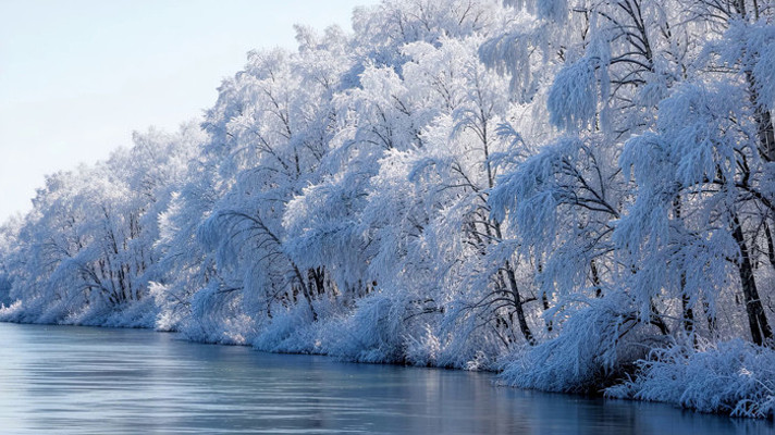 ������ڡ�Ӱ�����