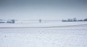 ����ѩԭ�տ�ѩ��