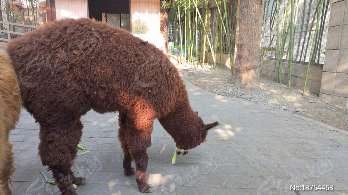 ����԰����ɫ������д