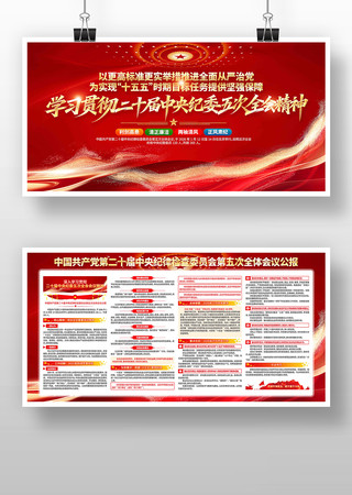 ��ʮ�������ί���ȫ����龫�񵳽�չ��