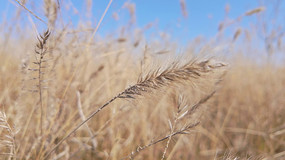 �紵�ݶ���Ȼ�羰