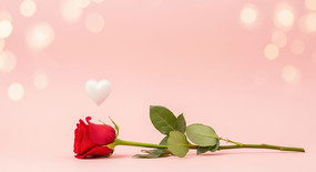 ��ɫ������õ���밮��