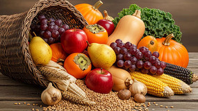 �ж��ڷ��ռ����߹���չʾ