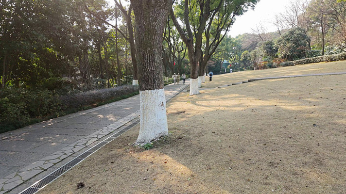 ��԰���ּ�Ĳ�������