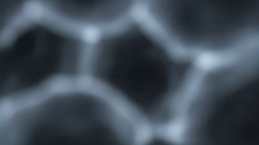 �����΢���µ�ϸ��ԭ�ӽṹ