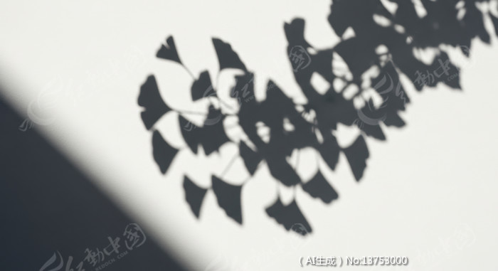 ��Ӱ�µ�����ҶӰ��