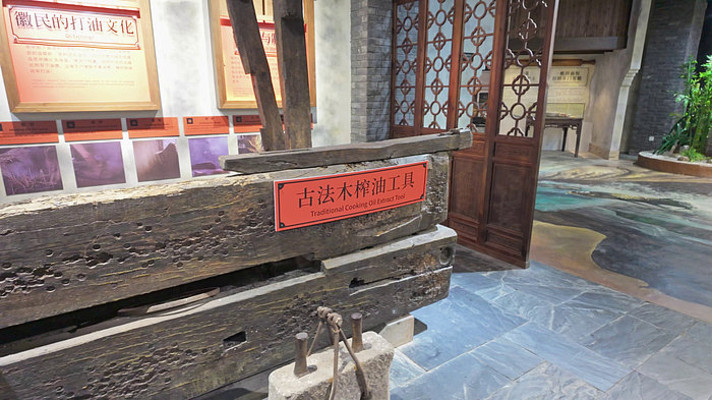 �ŷ�ľ��ե�͹���չʾ