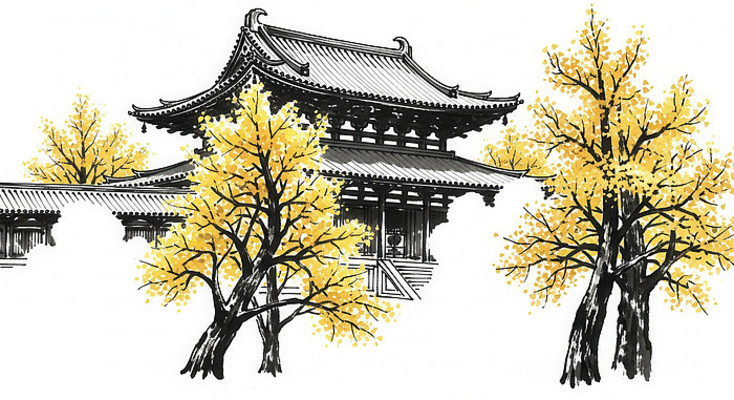 �ŷ罨����������