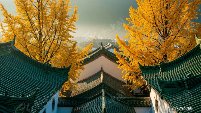 �Ž����Խ������������