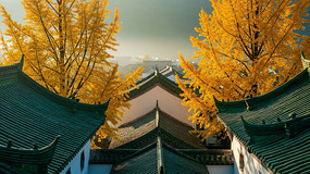 �Ž����Խ������������