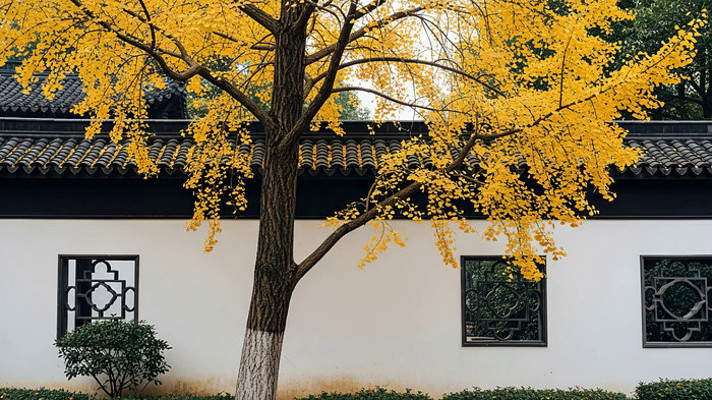 �Ž��������������վ���