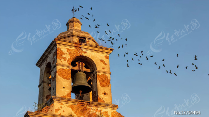 ������¥�����ƾ���