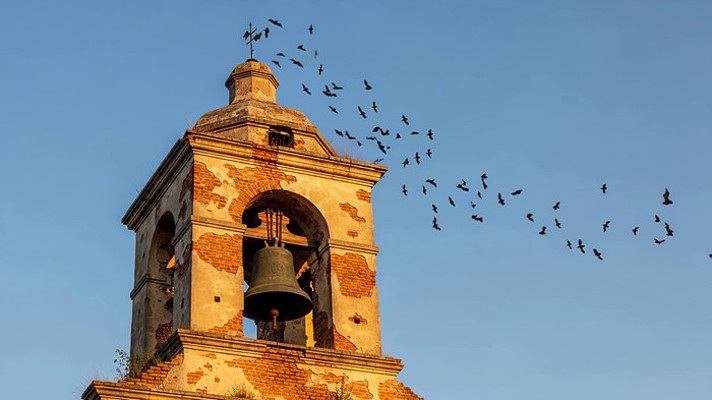 ������¥�����ƾ���