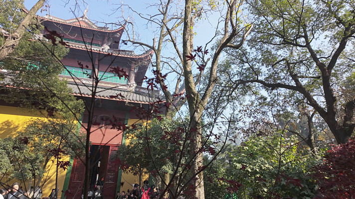 古寺庙宇及周边树林景观 古寺庙宇及周边树林景观